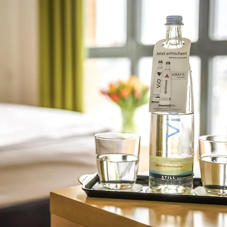 致青春特里夫酒店