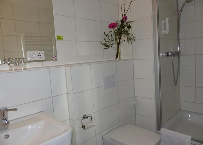 致青春特里夫酒店 3*